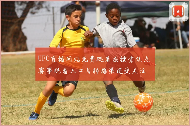 UFC直播网站免费观看成搜索焦点 赛事观看入口与转播渠道受关注